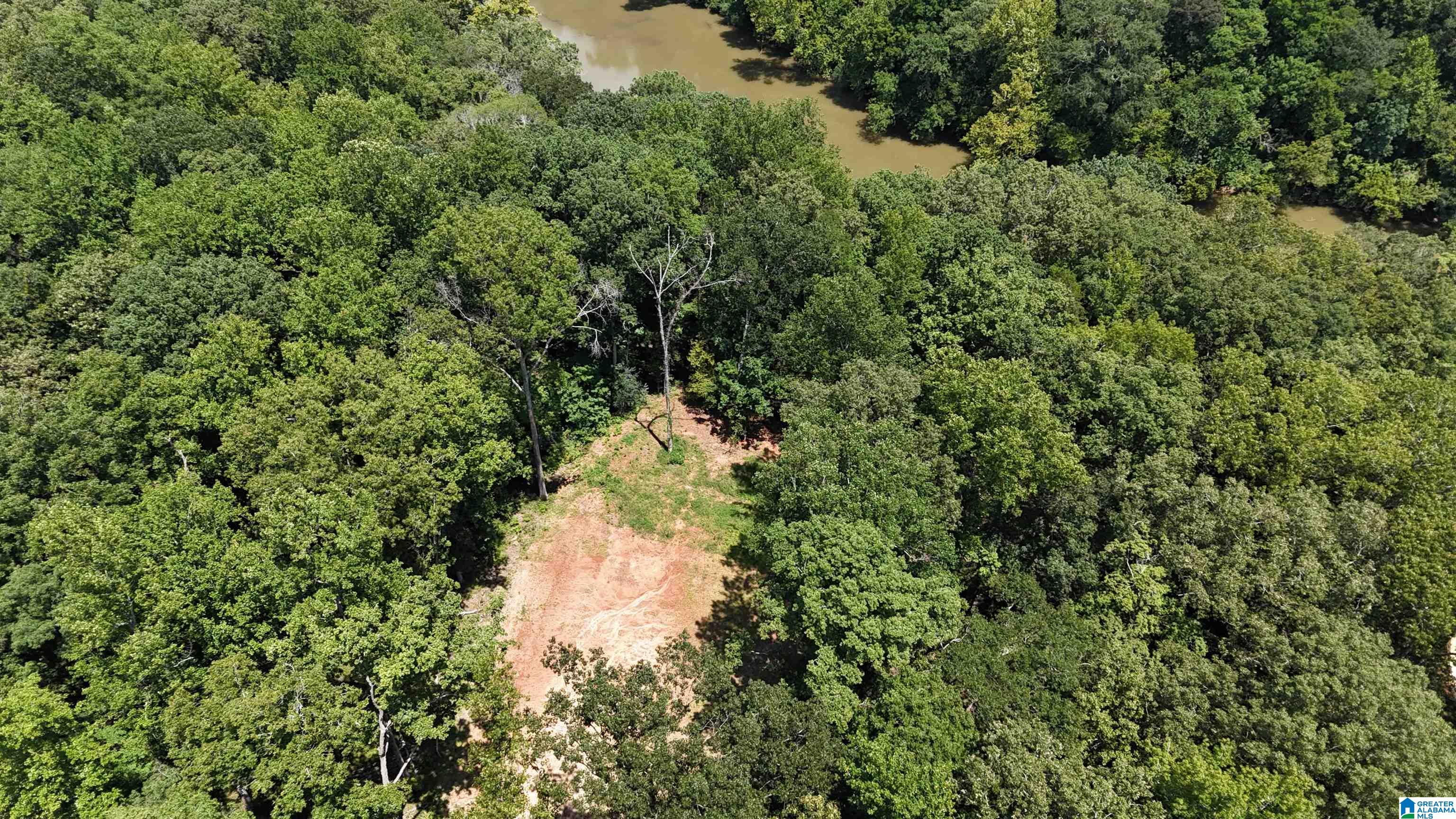 2170 Birmingham Road Centreville, AL 35042 - Photo 7 of 32