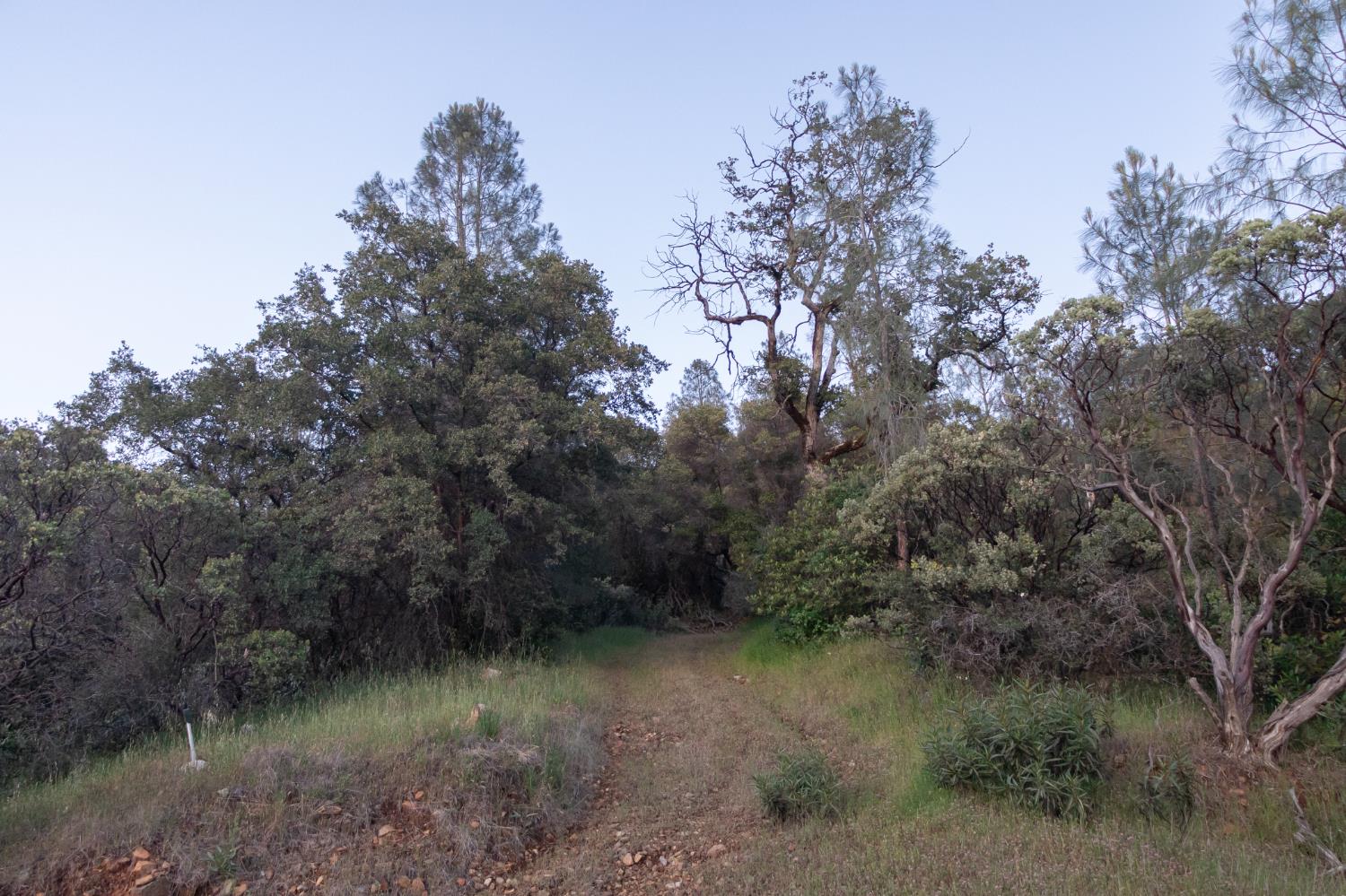 12911 Long Valley Road Penn Valley, CA 95946 - Photo 16 of 35 a view of a lake with outdoor space