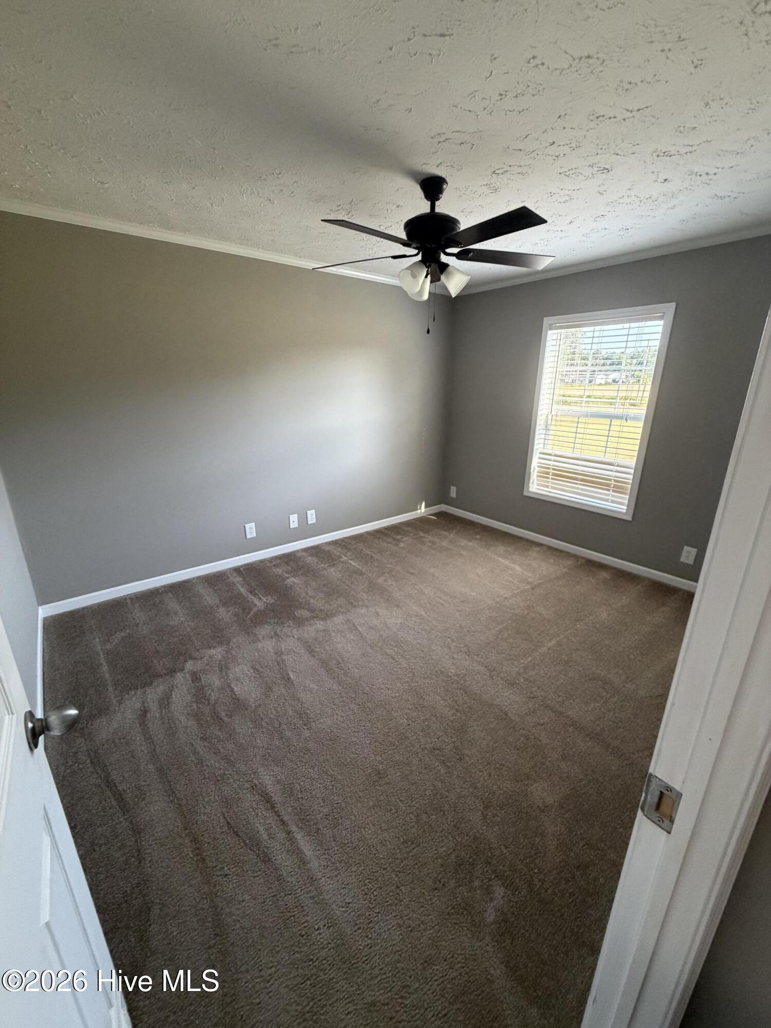 441 Mrs Tates Road Whiteville, NC 28472 - Photo 23 of 33 IMG_6914 (1)