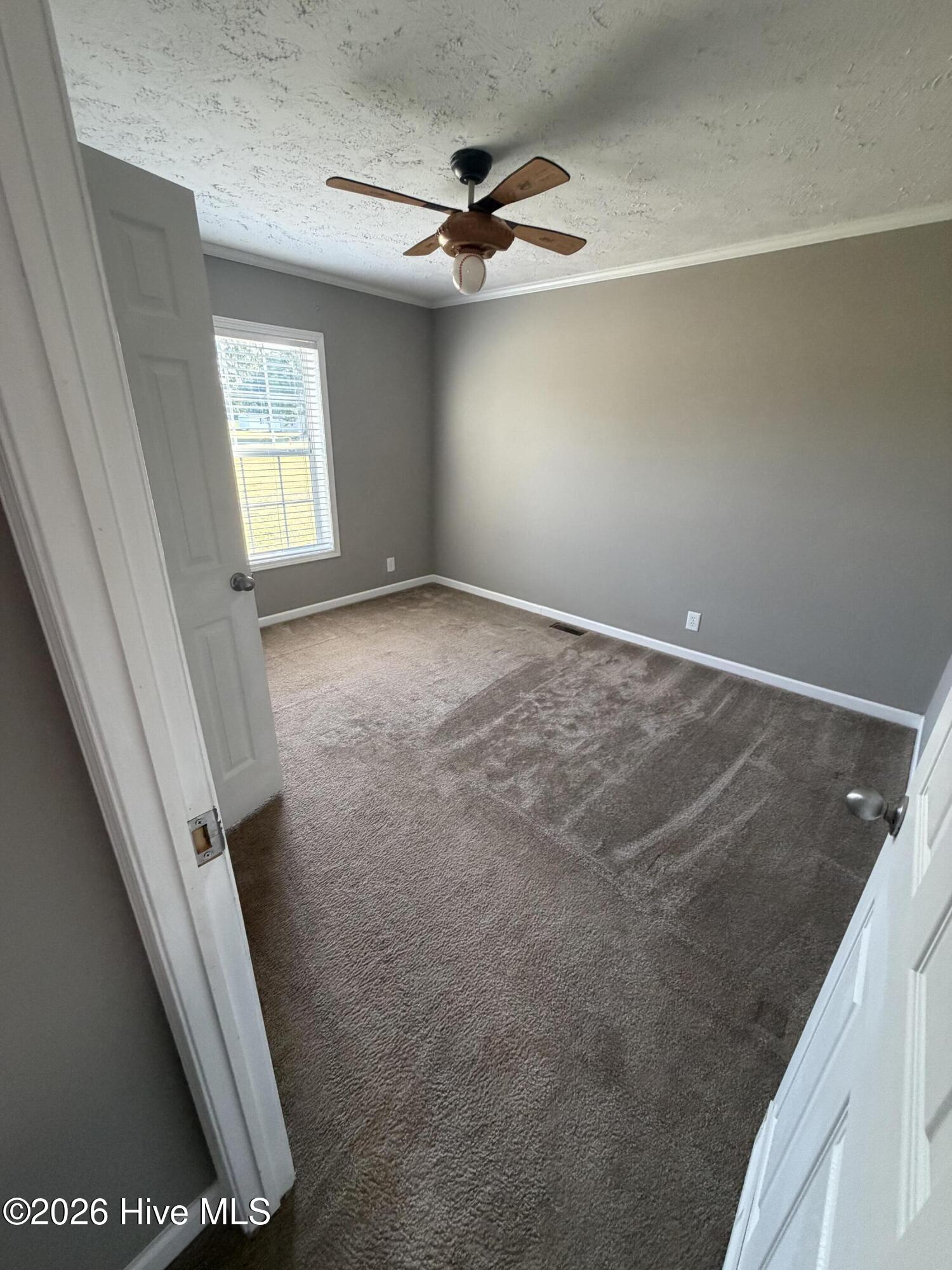 441 Mrs Tates Road Whiteville, NC 28472 - Photo 24 of 33 IMG_6915 (1)