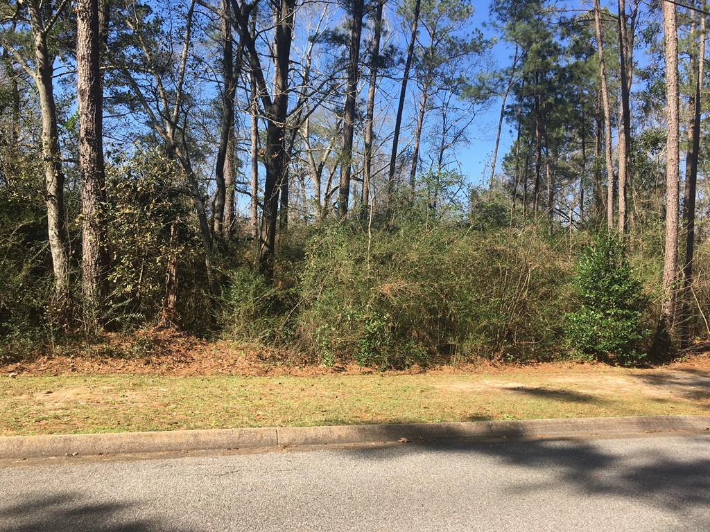 0 Rocky Branch Road Dothan, AL 36303 - Photo 5 of 7
