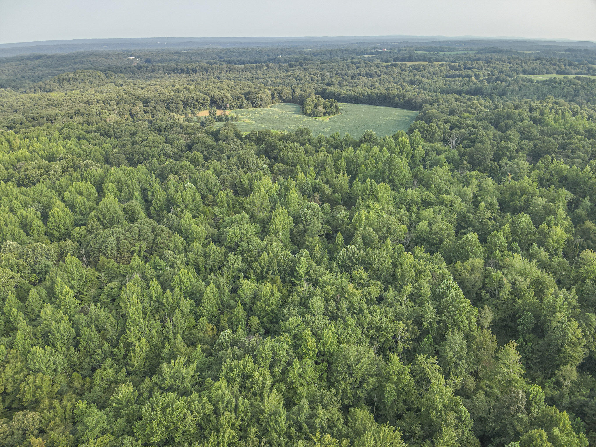 160+/- Acres