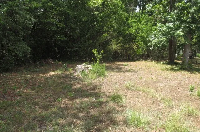 a backyard of a house with lots of green space