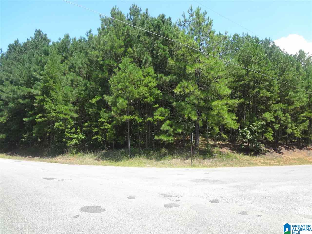0 Beaver Ridge Circle, Unit 7 Ashville, AL 35953 - Photo 1 of 5