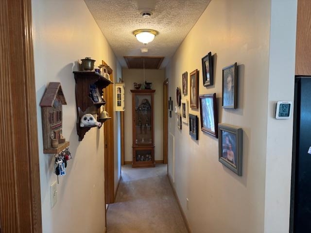 2551 Naylor Road Toone, TN 38381 - Photo 7 of 23 Hall with a textured ceiling and light colored carpet