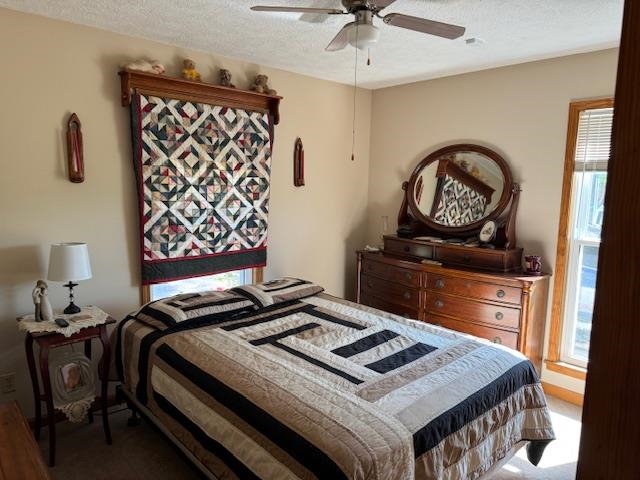 2551 Naylor Road Toone, TN 38381 - Photo 8 of 23 Bedroom featuring a ceiling fan, a textured ceiling, carpet flooring, and multiple windows