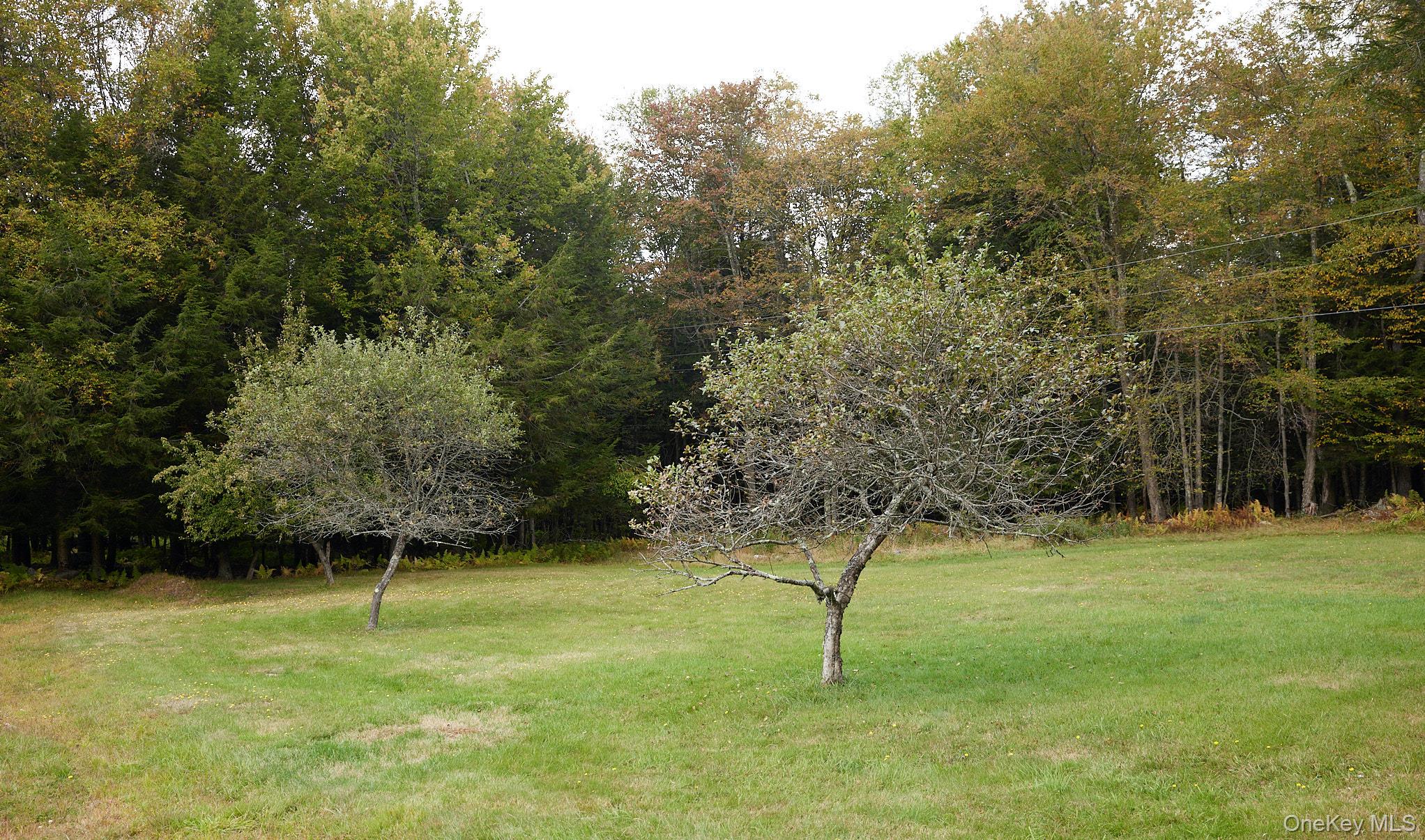 480 Breezy Hill Road Parksville, NY 12768 - Photo 11 of 30 View of grassy yard