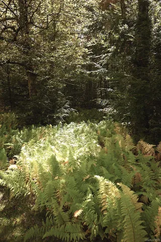 $695,000 | 480 Breezy Hill Road, Parksville, NY 12768