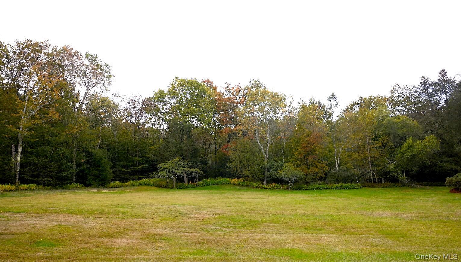 480 Breezy Hill Road Parksville, NY 12768 - Photo 13 of 30 View of green lawn
