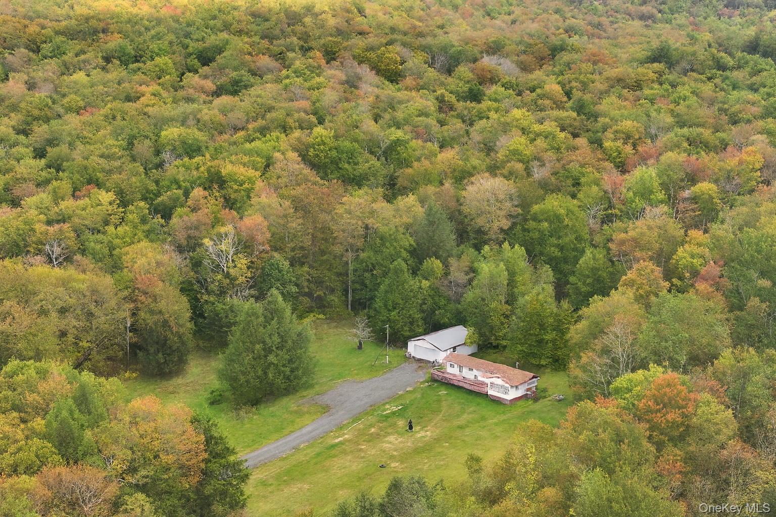 480 Breezy Hill Road Parksville, NY 12768 - Photo 17 of 30 View of subject property
