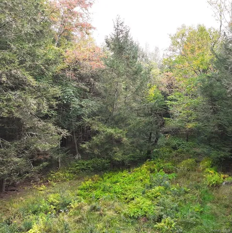 $695,000 | 480 Breezy Hill Road, Parksville, NY 12768