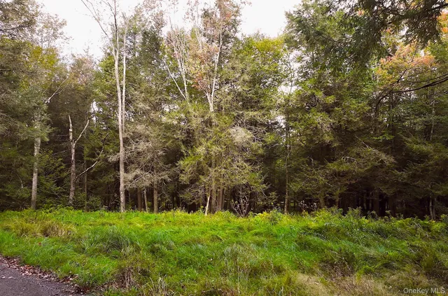 $695,000 | 480 Breezy Hill Road, Parksville, NY 12768