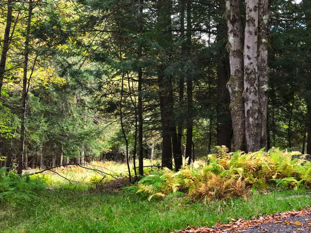 $695,000 | 480 Breezy Hill Road, Parksville, NY 12768