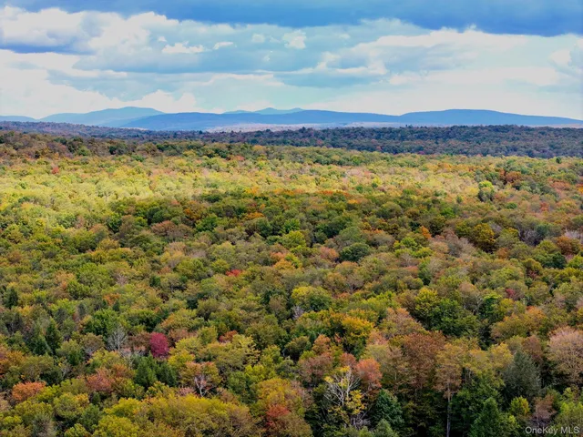 $695,000 | 480 Breezy Hill Road, Parksville, NY 12768