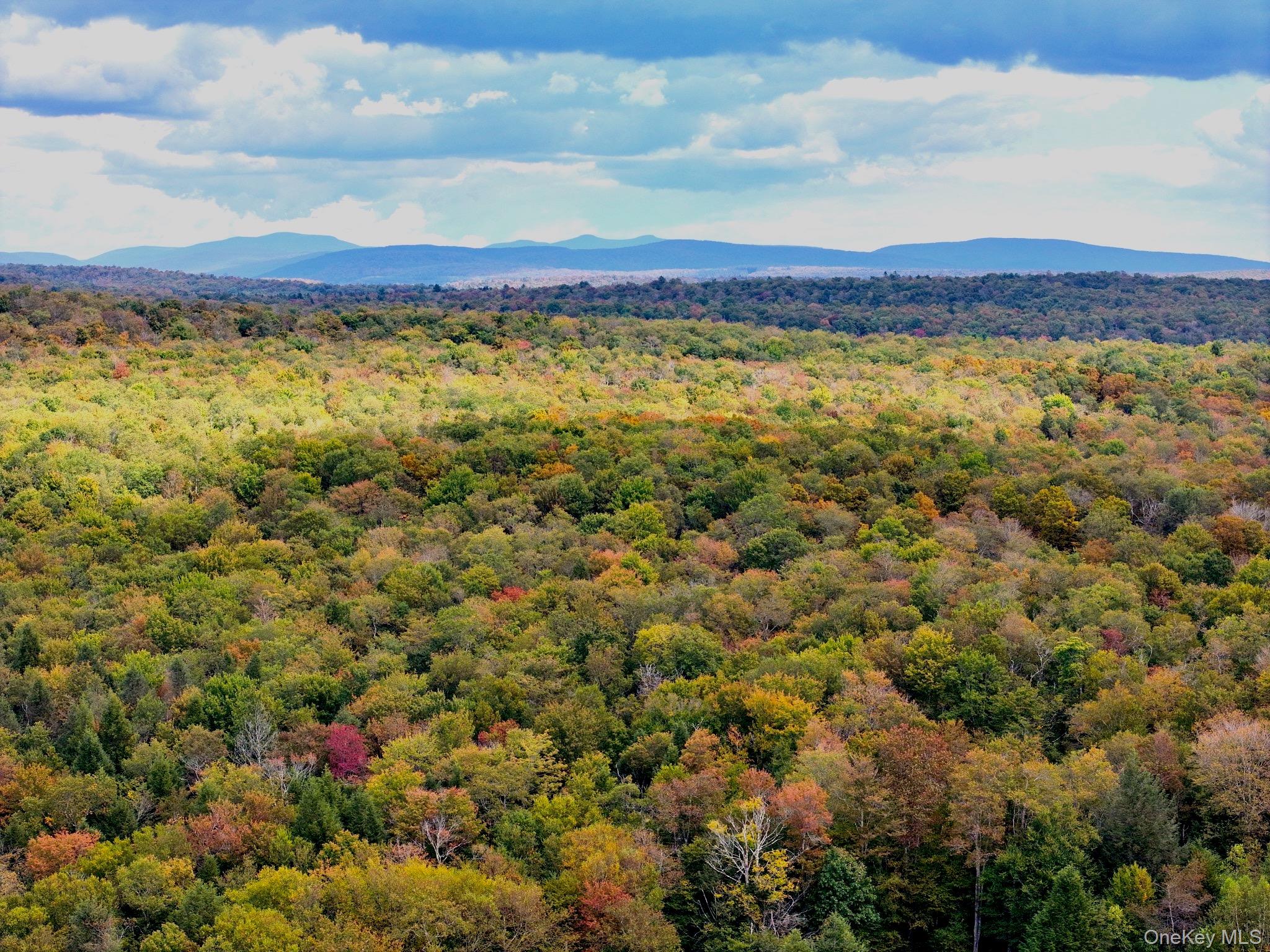 480 Breezy Hill Road Parksville, NY 12768 - Photo 22 of 30 Mountain view featuring a forest