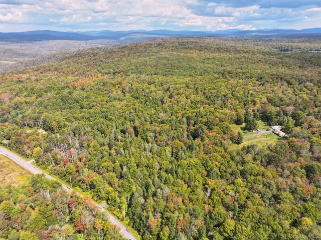 $695,000 | 480 Breezy Hill Road, Parksville, NY 12768