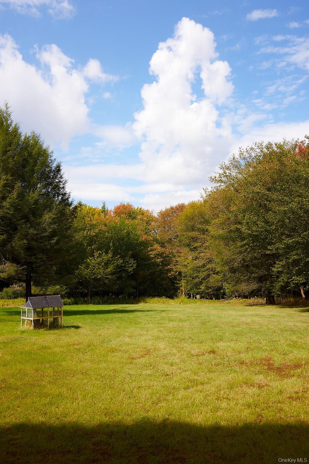 480 Breezy Hill Road Parksville, NY 12768 - Photo 24 of 30 View of green lawn featuring a wooded view
