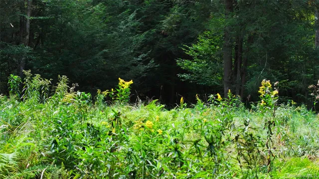 $695,000 | 480 Breezy Hill Road, Parksville, NY 12768