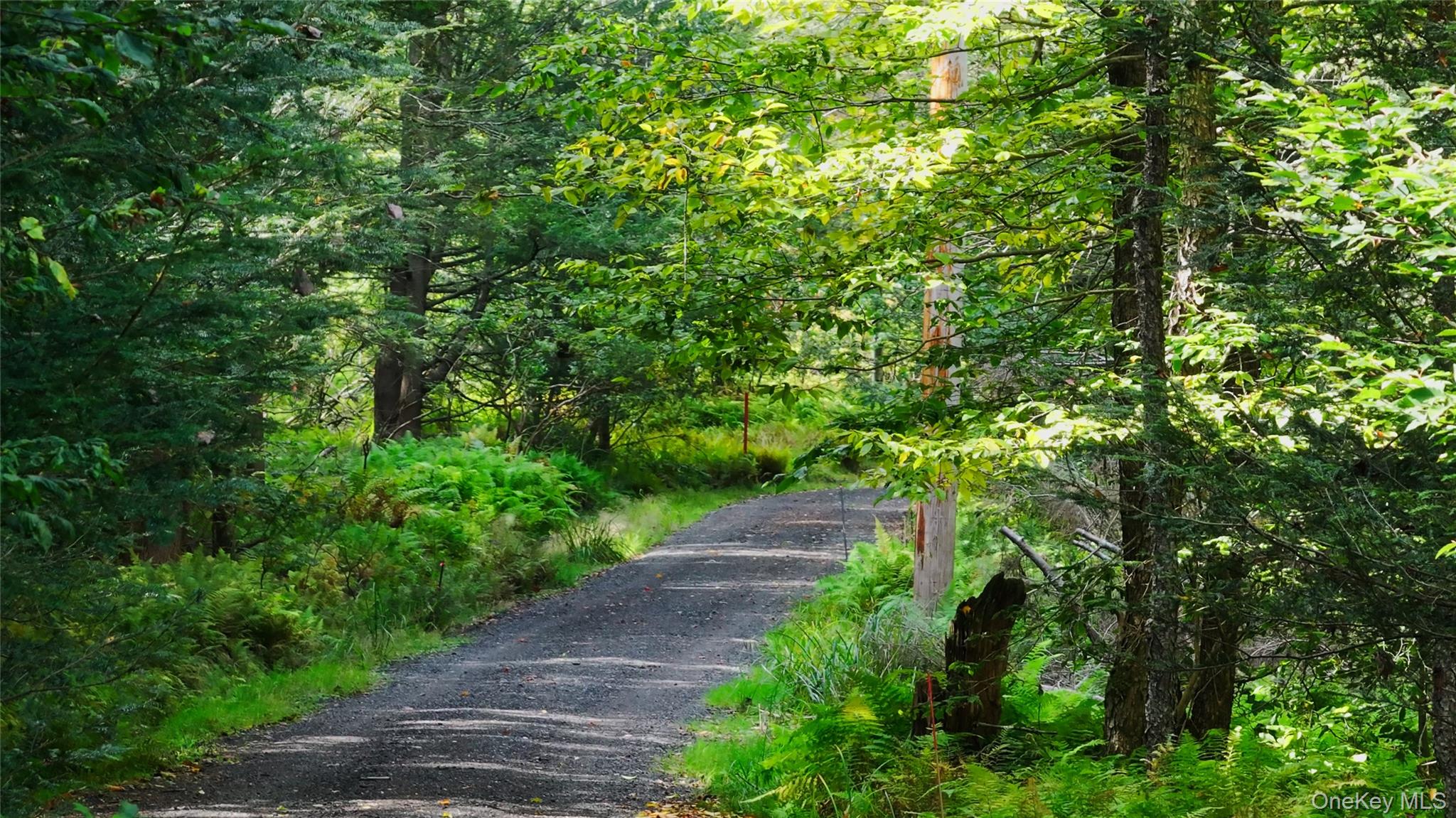 480 Breezy Hill Road Parksville, NY 12768 - Photo 27 of 30 View of dirt / gravel road with a forest view