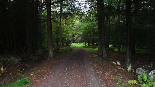 $695,000 | 480 Breezy Hill Road, Parksville, NY 12768