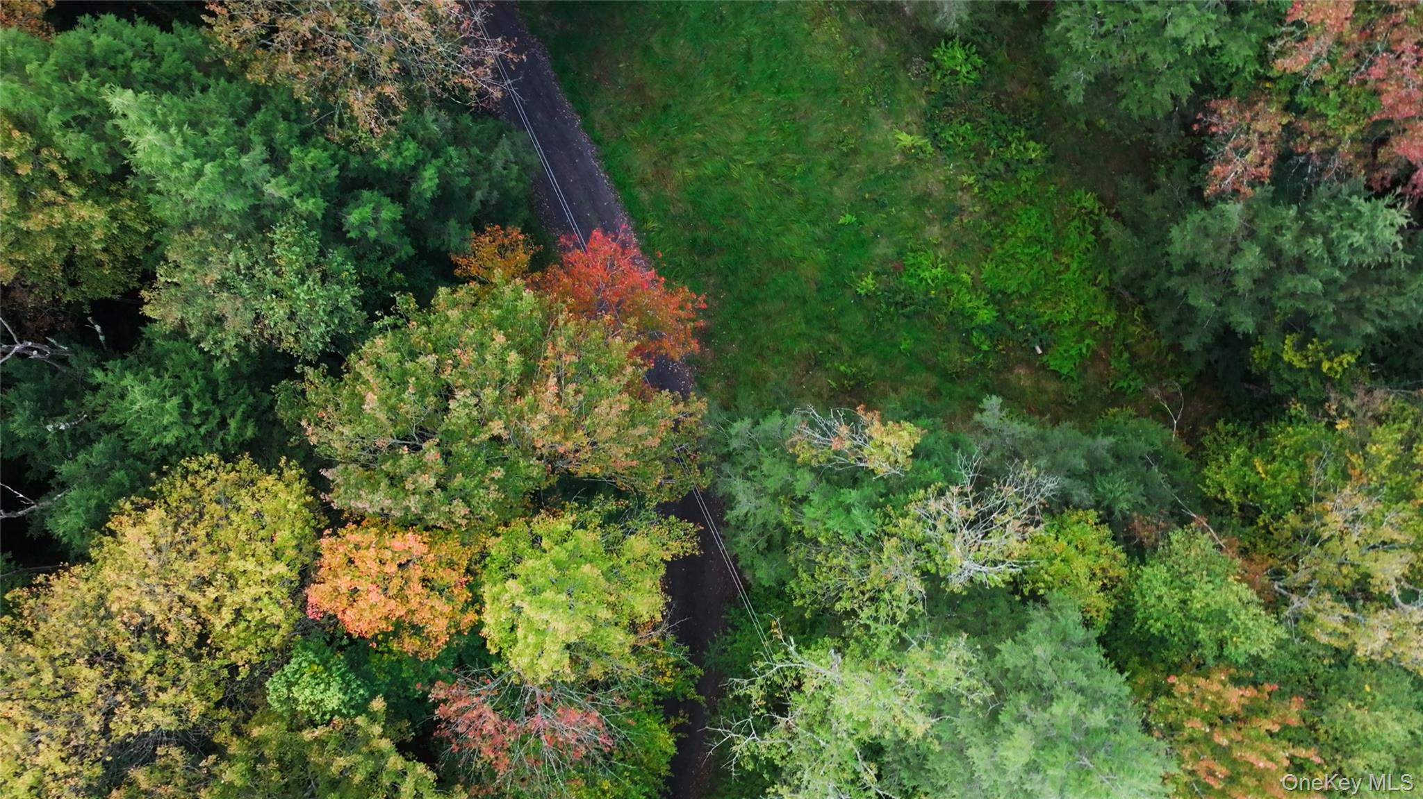 480 Breezy Hill Road Parksville, NY 12768 - Photo 29 of 30 Aerial view of property and surrounding area with a heavily wooded area