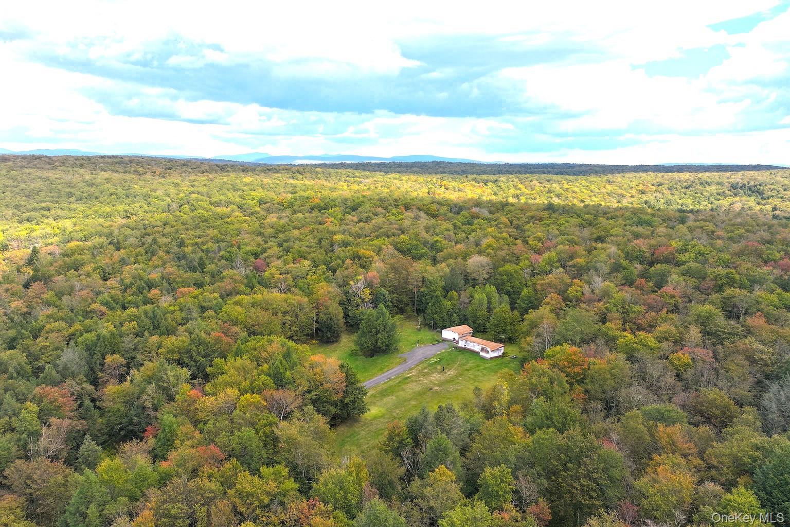 480 Breezy Hill Road Parksville, NY 12768 - Photo 3 of 30 Aerial view of a heavily wooded area