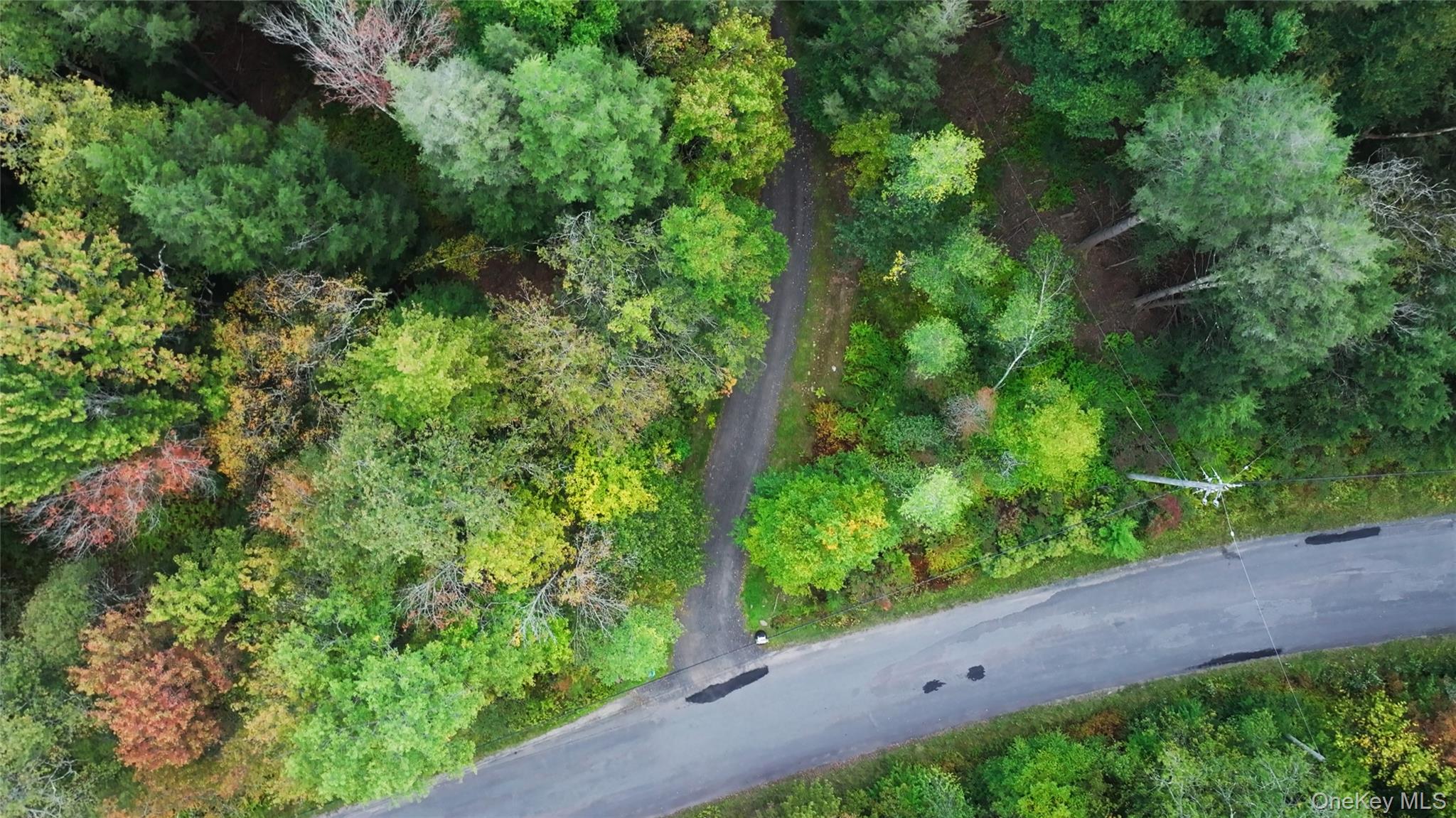 480 Breezy Hill Road Parksville, NY 12768 - Photo 4 of 30 Aerial view of property and surrounding area