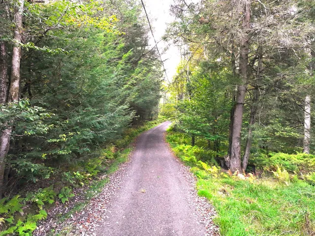 $695,000 | 480 Breezy Hill Road, Parksville, NY 12768