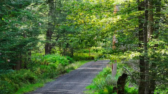 $695,000 | 480 Breezy Hill Road, Parksville, NY 12768