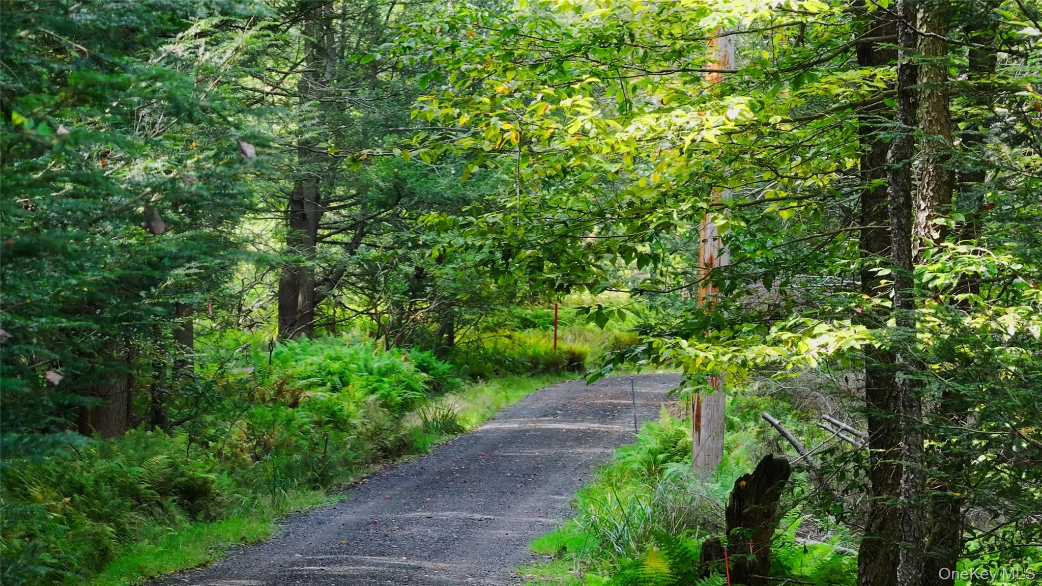 480 Breezy Hill Road Parksville, NY 12768 - Photo 6 of 30 View of dirt / gravel road