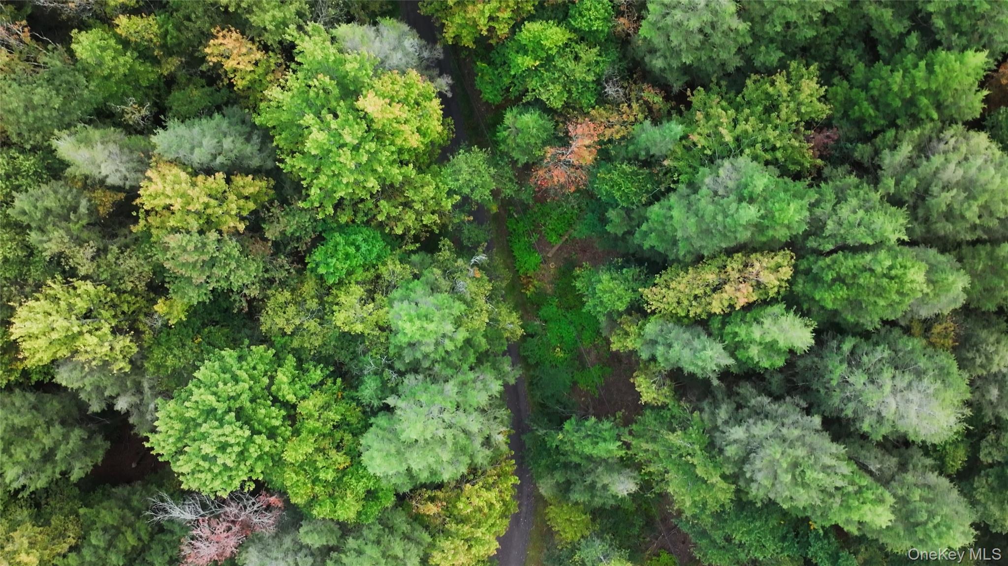 480 Breezy Hill Road Parksville, NY 12768 - Photo 7 of 30 Aerial view of property and surrounding area