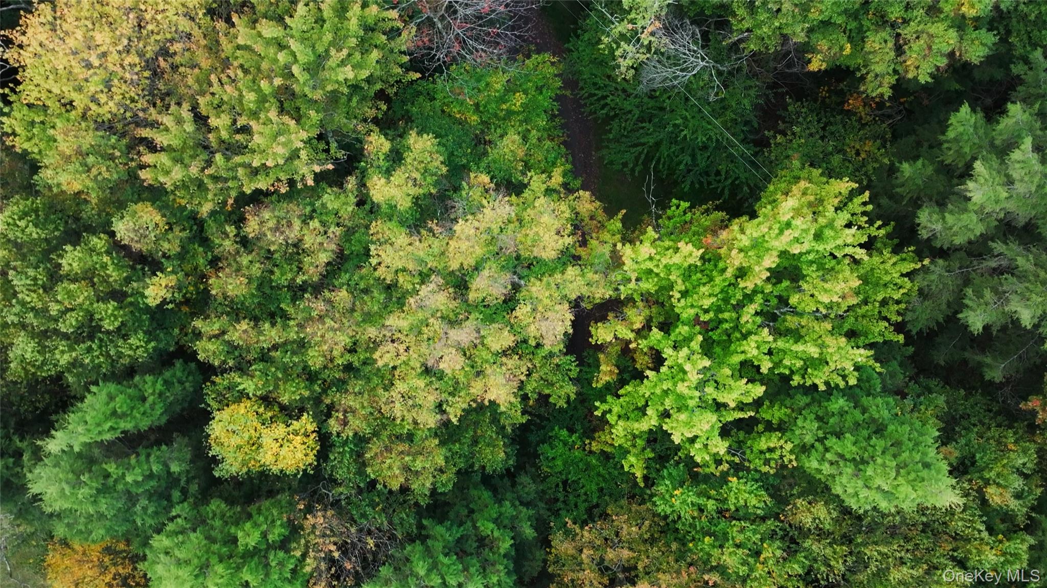 480 Breezy Hill Road Parksville, NY 12768 - Photo 8 of 30 View of property location