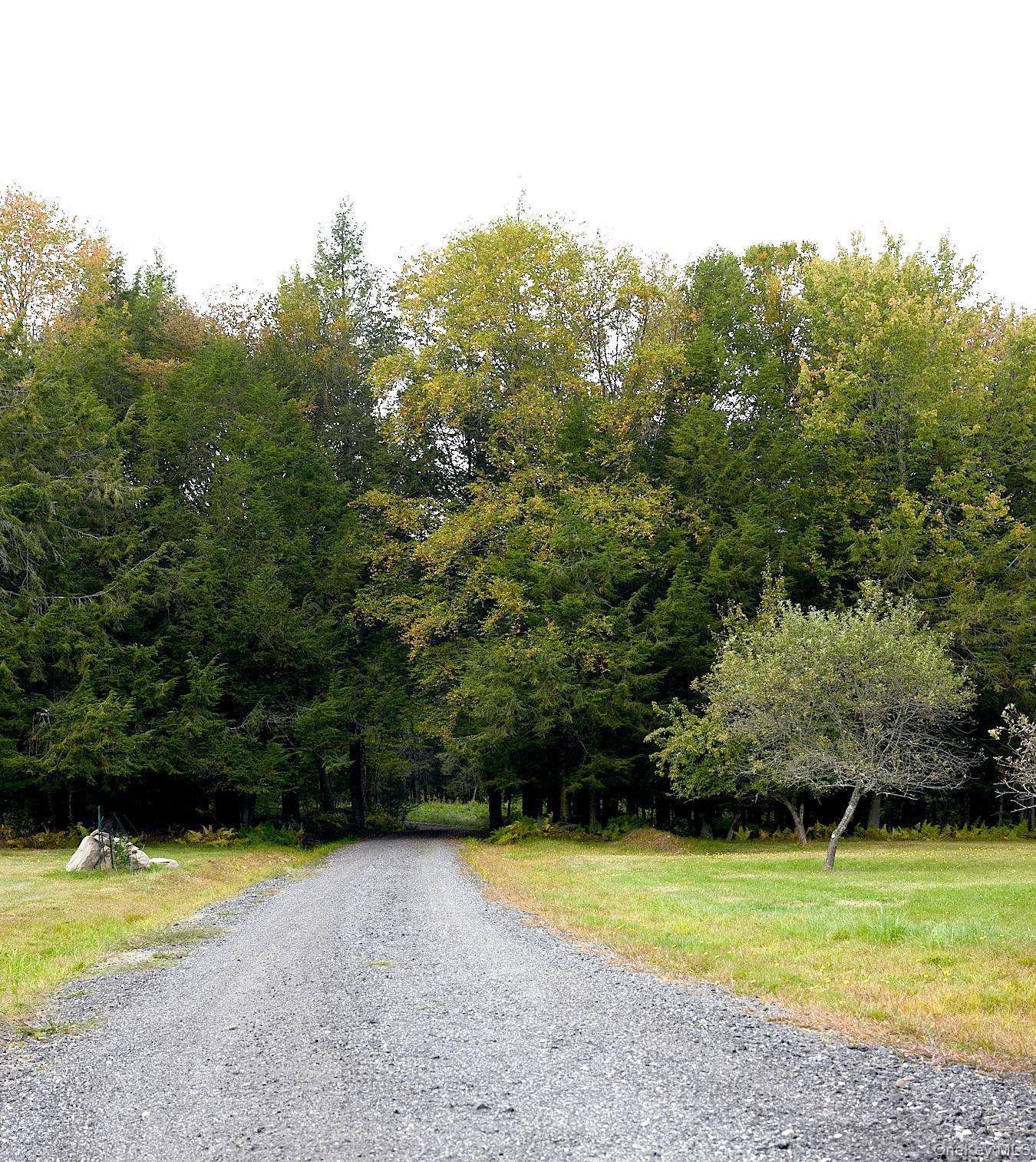 480 Breezy Hill Road Parksville, NY 12768 - Photo 9 of 30 View of dirt / gravel road
