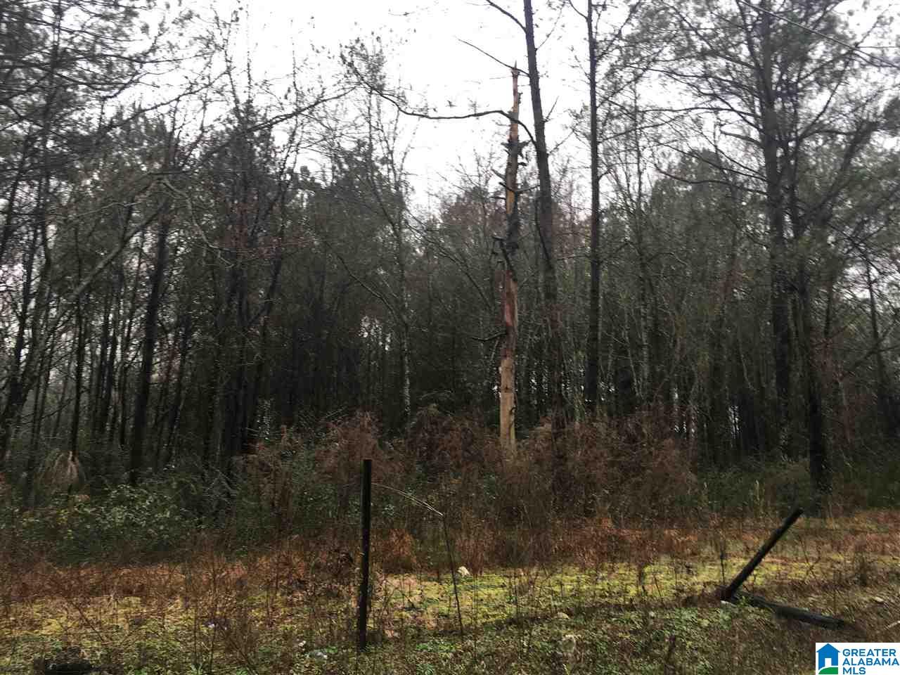1245 Eureka Road, Unit 2 Lincoln, AL 35096 - Photo 14 of 32