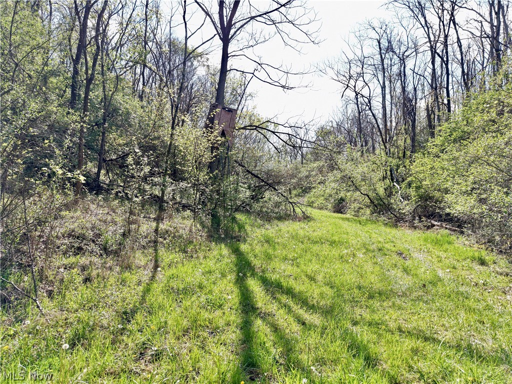 0 Harrons Ridge Road Dexter City, OH 45727 - Photo 23 of 29