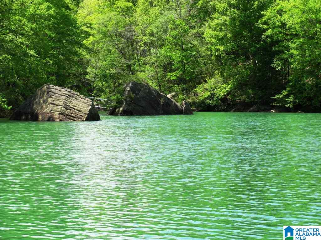 290 Camp Corinth Road Double Springs, AL 35553 - Photo 24 of 32
