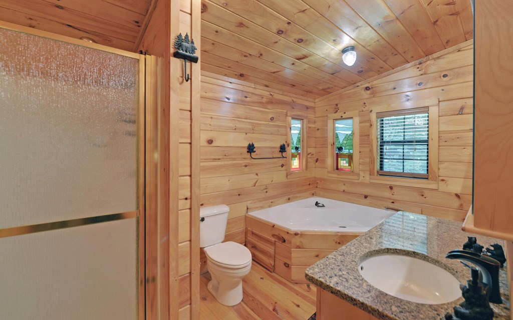 1523 Millenium Drive Young Harris, GA 30582 - Photo 28 of 42