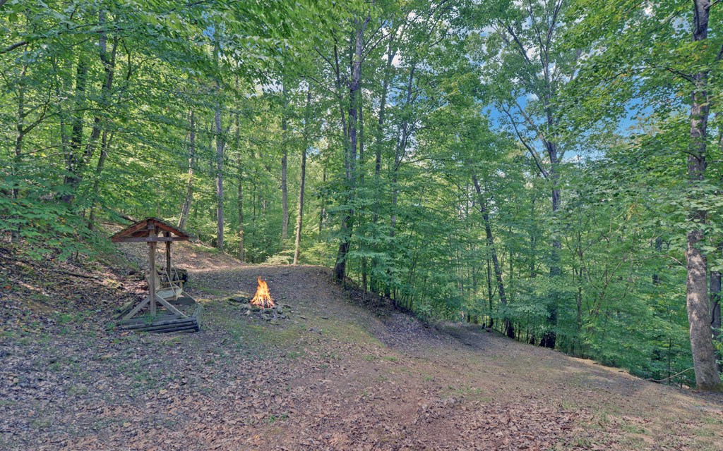 1523 Millenium Drive Young Harris, GA 30582 - Photo 41 of 42