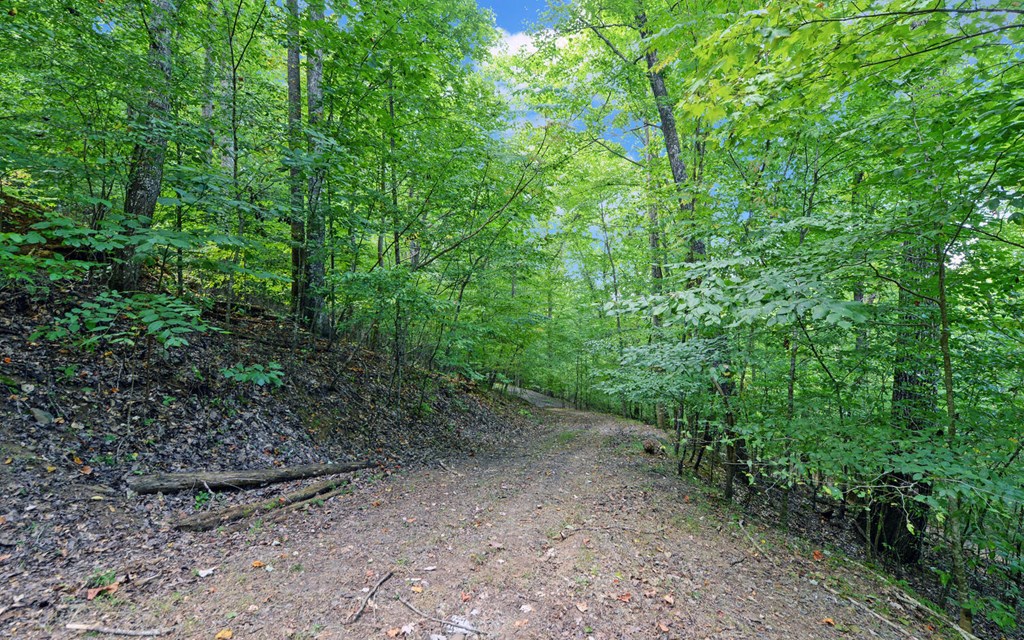 1523 Millenium Drive Young Harris, GA 30582 - Photo 42 of 42