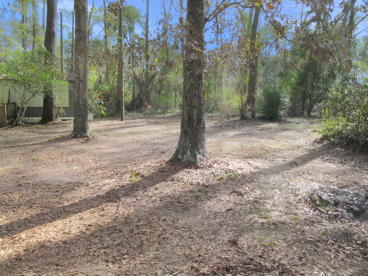 963 Quail Lane Monticello, FL 32344 - Photo 19 of 24