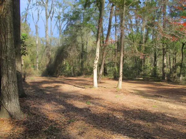 $174,900 | 963 Quail Lane, Monticello, FL 32344