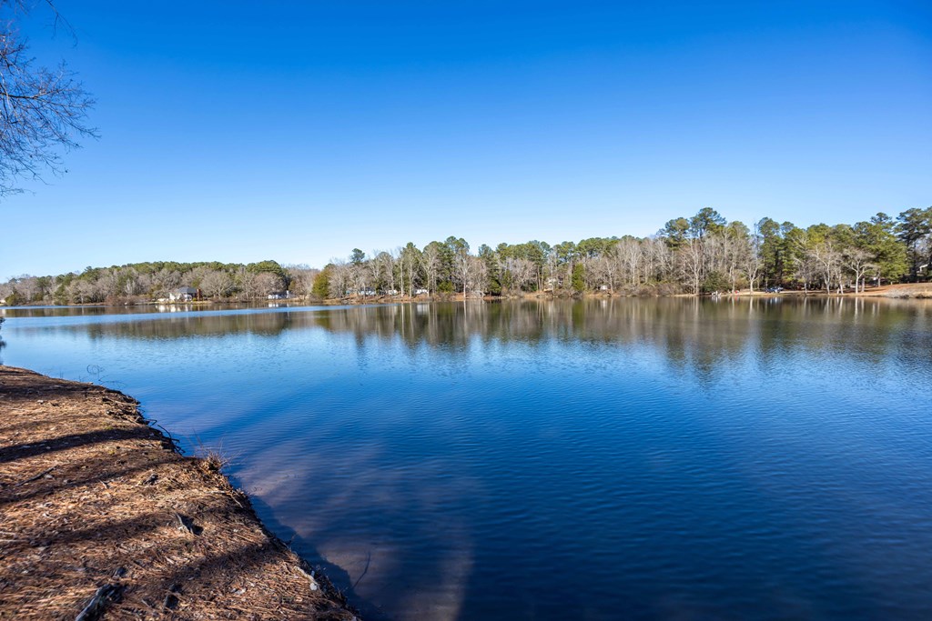 13965 Cross Creek Road Upatoi, GA 31829 - Photo 41 of 44 a view of a lake with houses in the back