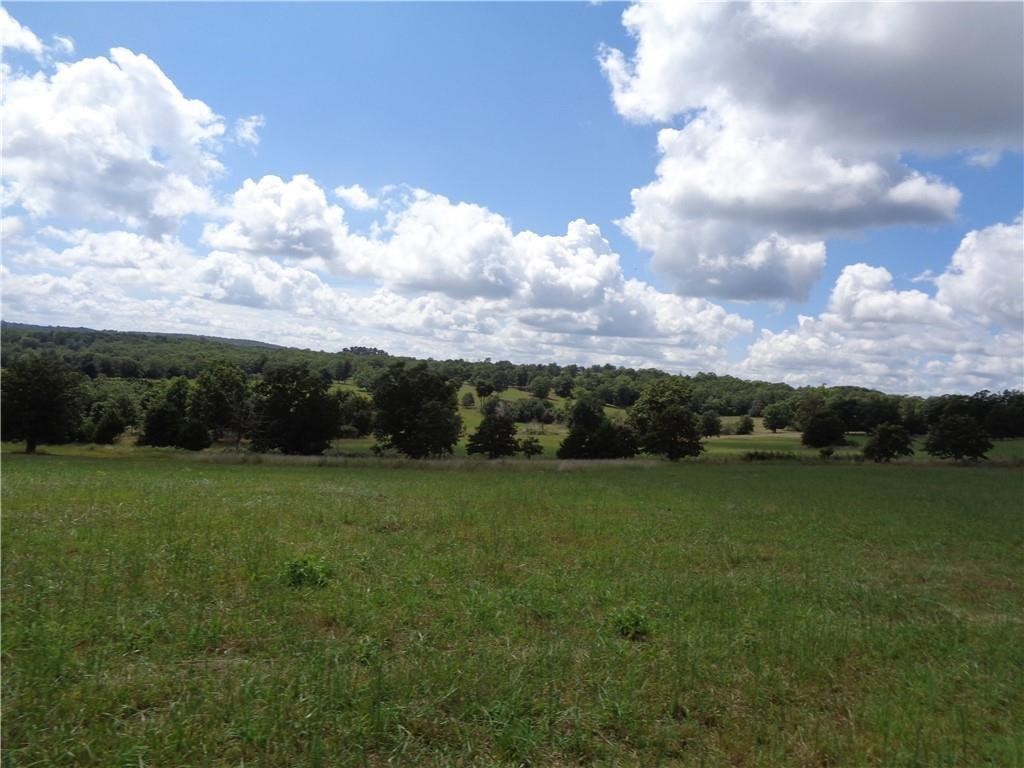 1550 Tbd County Road Compton, AR 72624 - Photo 18 of 27 Gallery Image 18