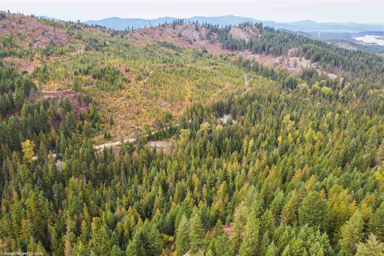 2076 Deeter Road Newport, WA 99156 - Photo 13 of 15 Gallery Image 13
