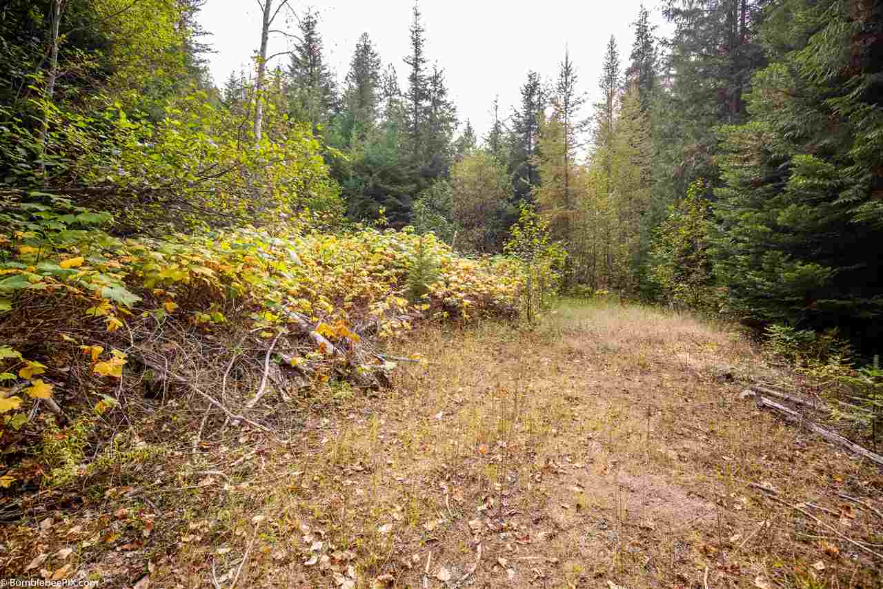 2076 Deeter Road Newport, WA 99156 - Photo 9 of 15 Gallery Image 9