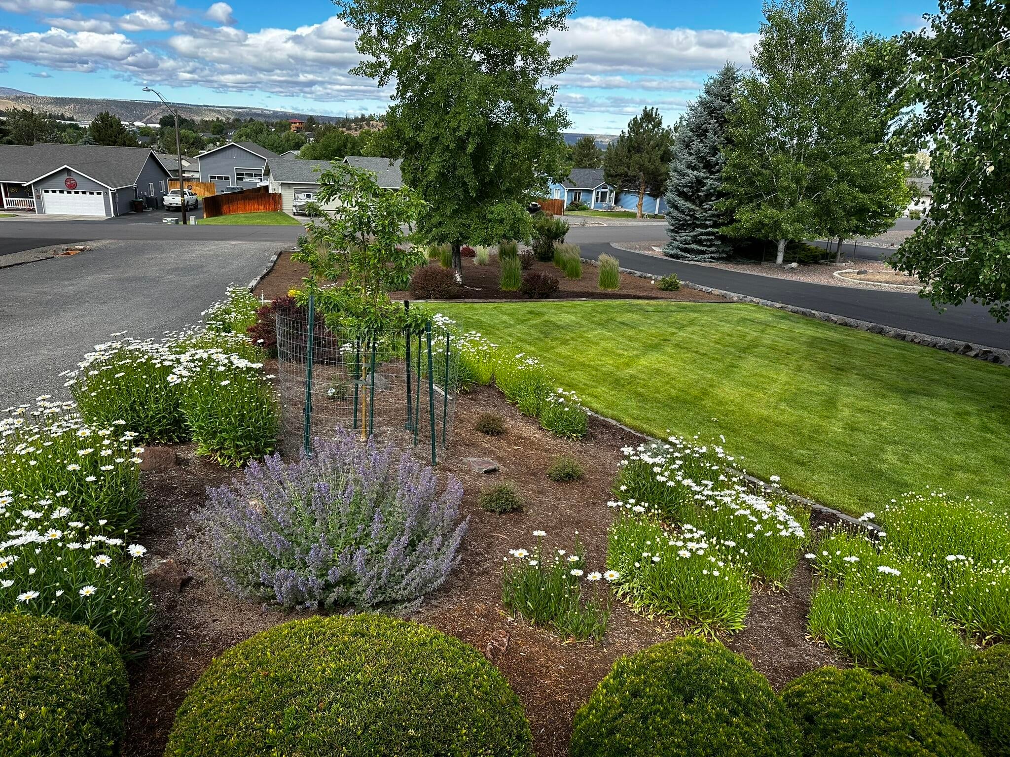 3082 Northeast Yellowpine Road Prineville, OR 97754 - Photo 34 of 50 IMG_2291