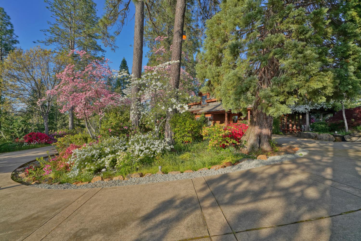 2399 Kingsgate Road Placerville, CA 95667 - Photo 14 of 89