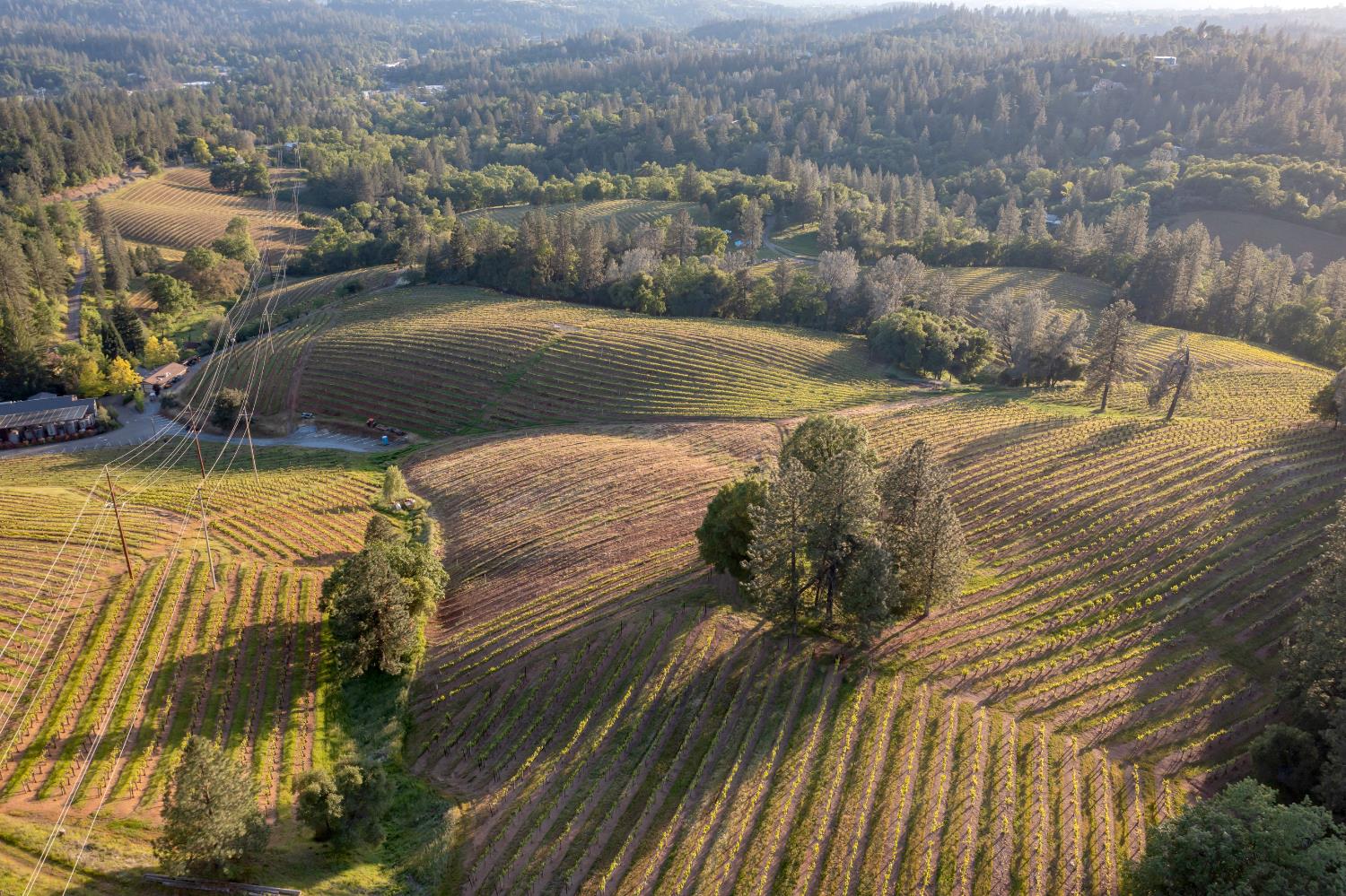 2399 Kingsgate Road Placerville, CA 95667 - Photo 15 of 89 a view of a yard