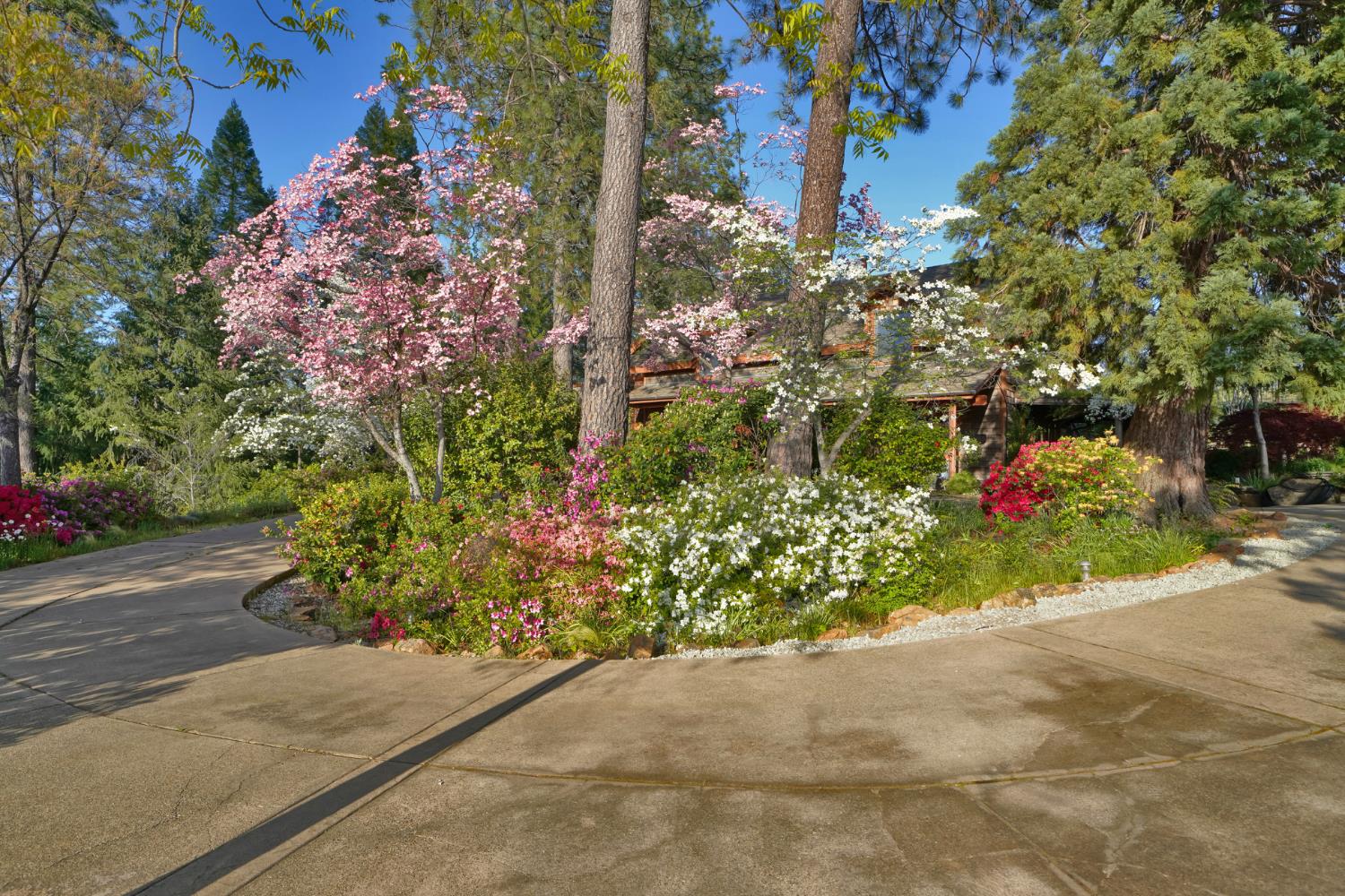 2399 Kingsgate Road Placerville, CA 95667 - Photo 4 of 89