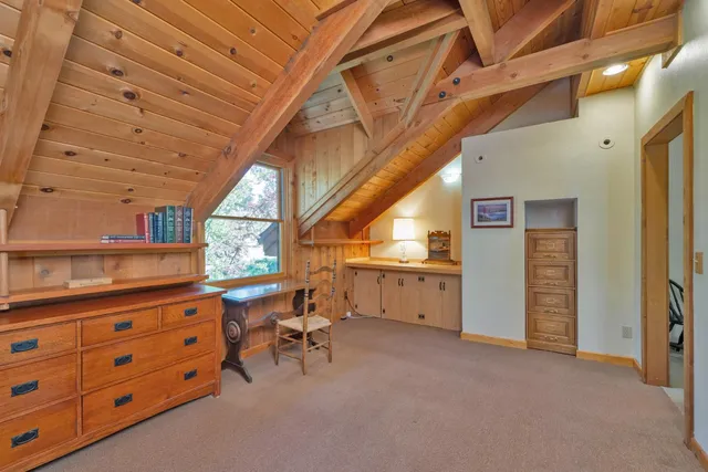 a view of a yard with plants and trees